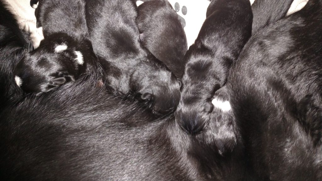 IMG_20200402_101318502