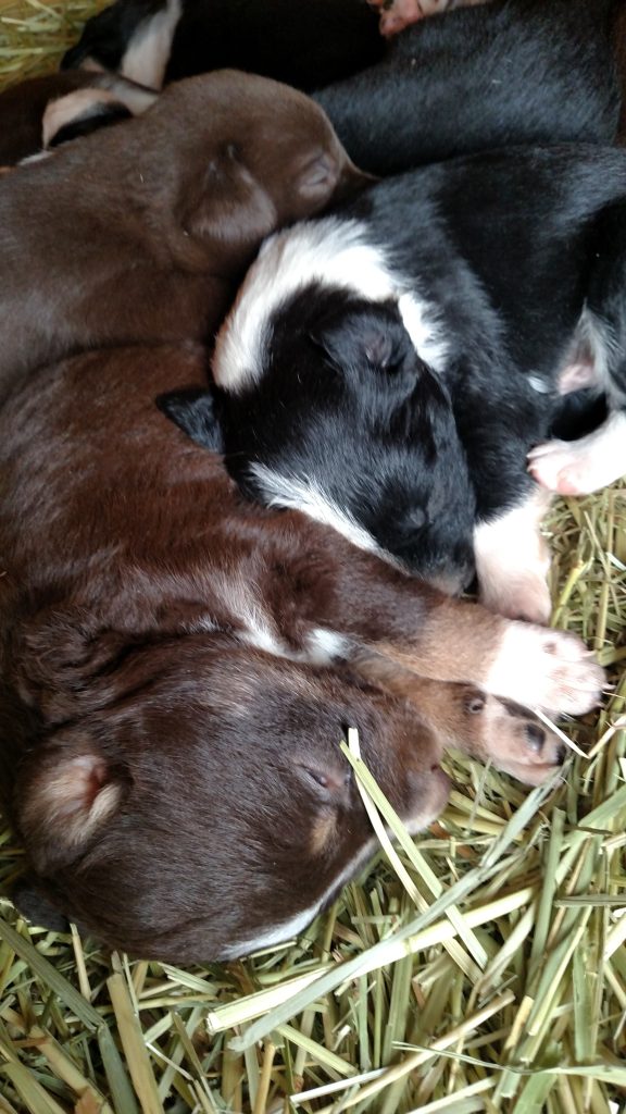 IMG_20200415_135739183