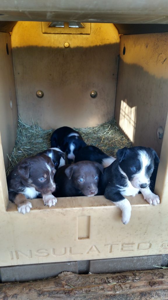 IMG_20200421_175604959_HDR