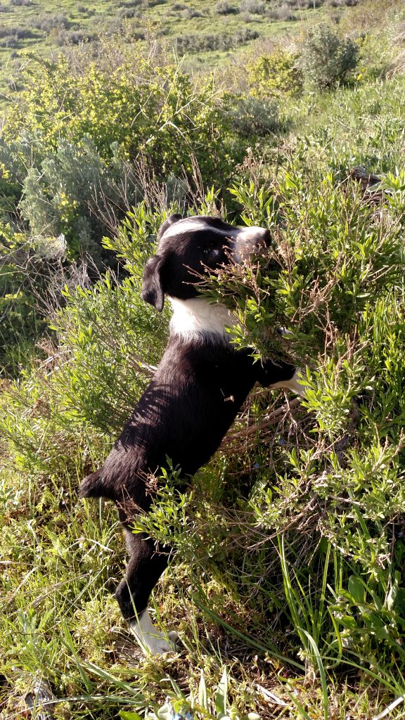 IMG_20200513_181331859